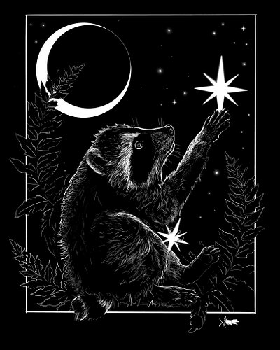 I’ve been loving all the Jimothy art that has been blowing up my feed, plus he is from Ballard, my old Seattle hood, so I had...