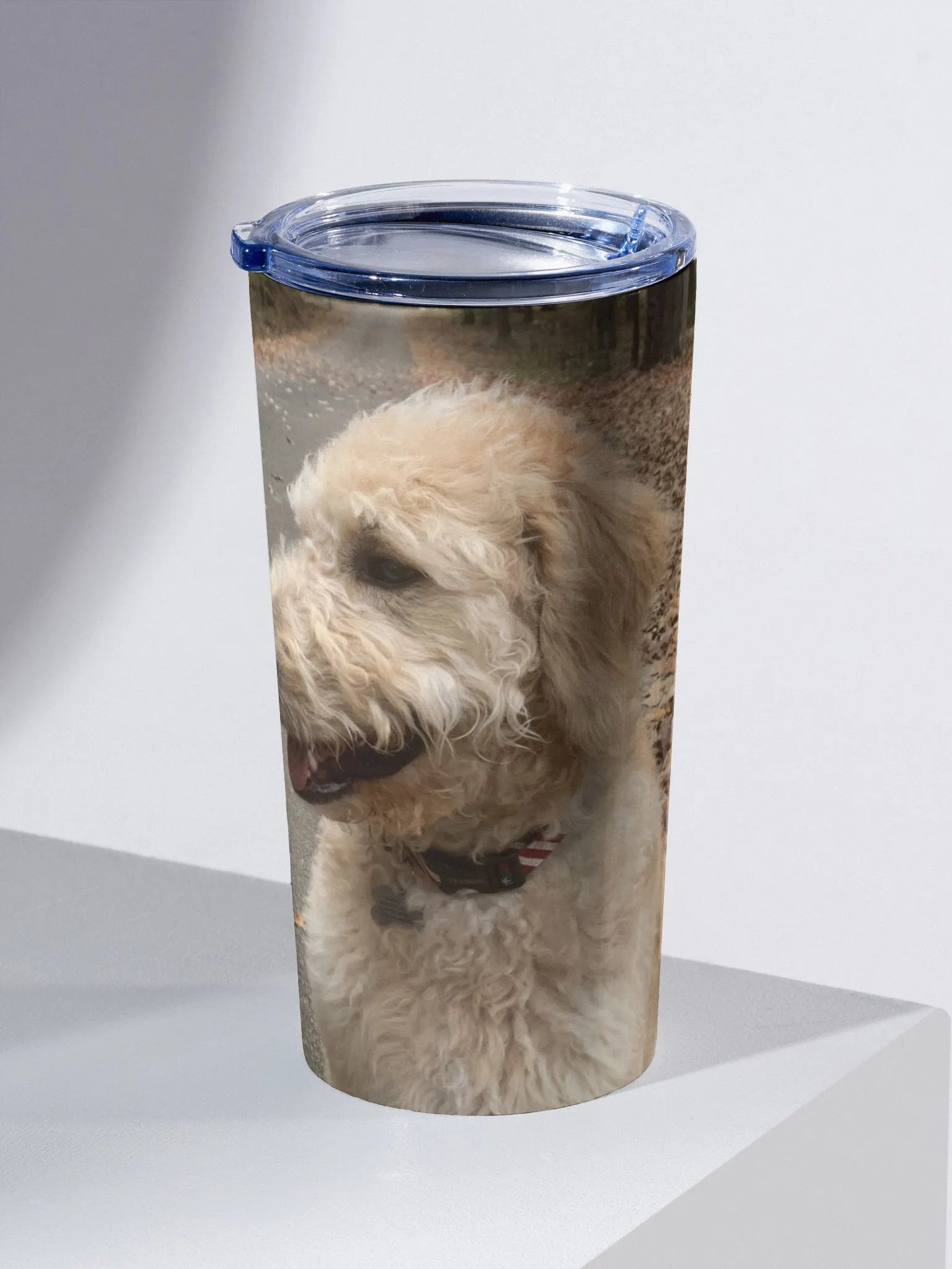 Ralph Tumber product image (2)