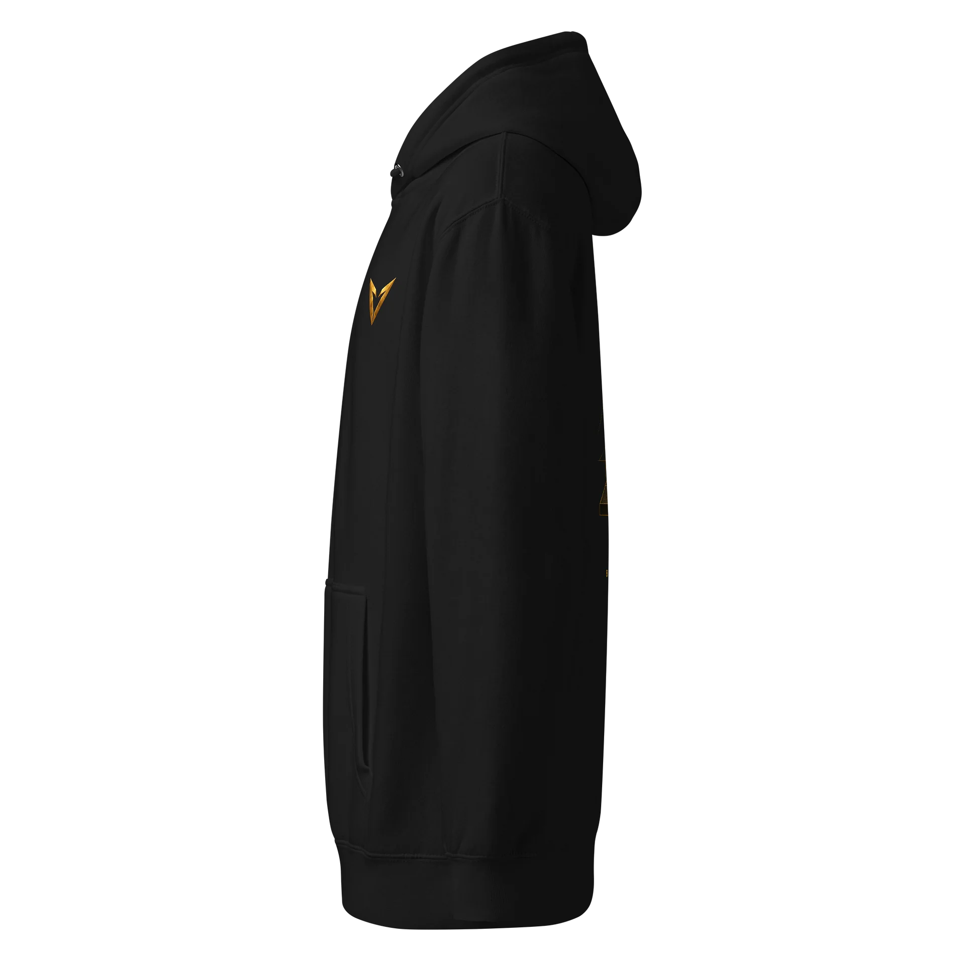 Ascend Premium Hoodie product image (3)