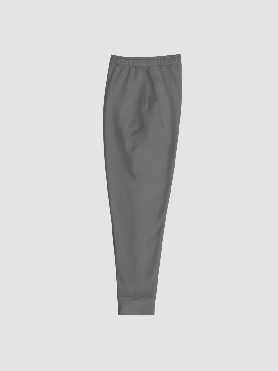 Project Winter Men's Joggers (Gray) product image (3)