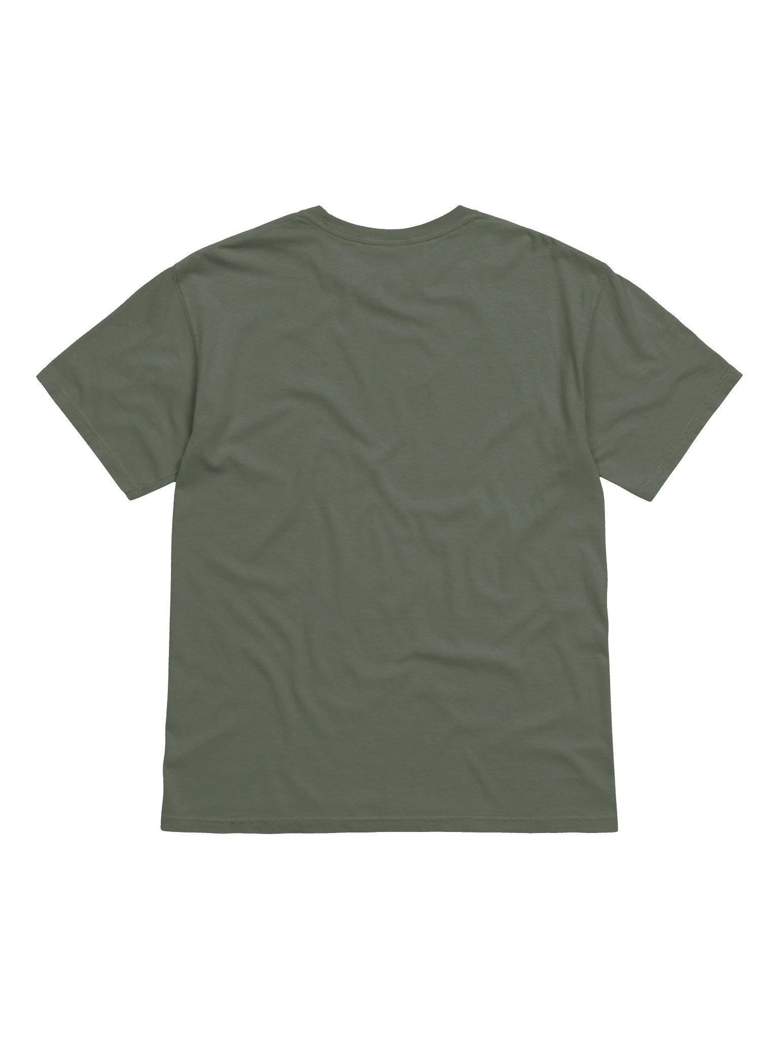 Let that Sit Go T-Shirt(Embroidered) of a French Bulldog(Pied Brown) product image (5)