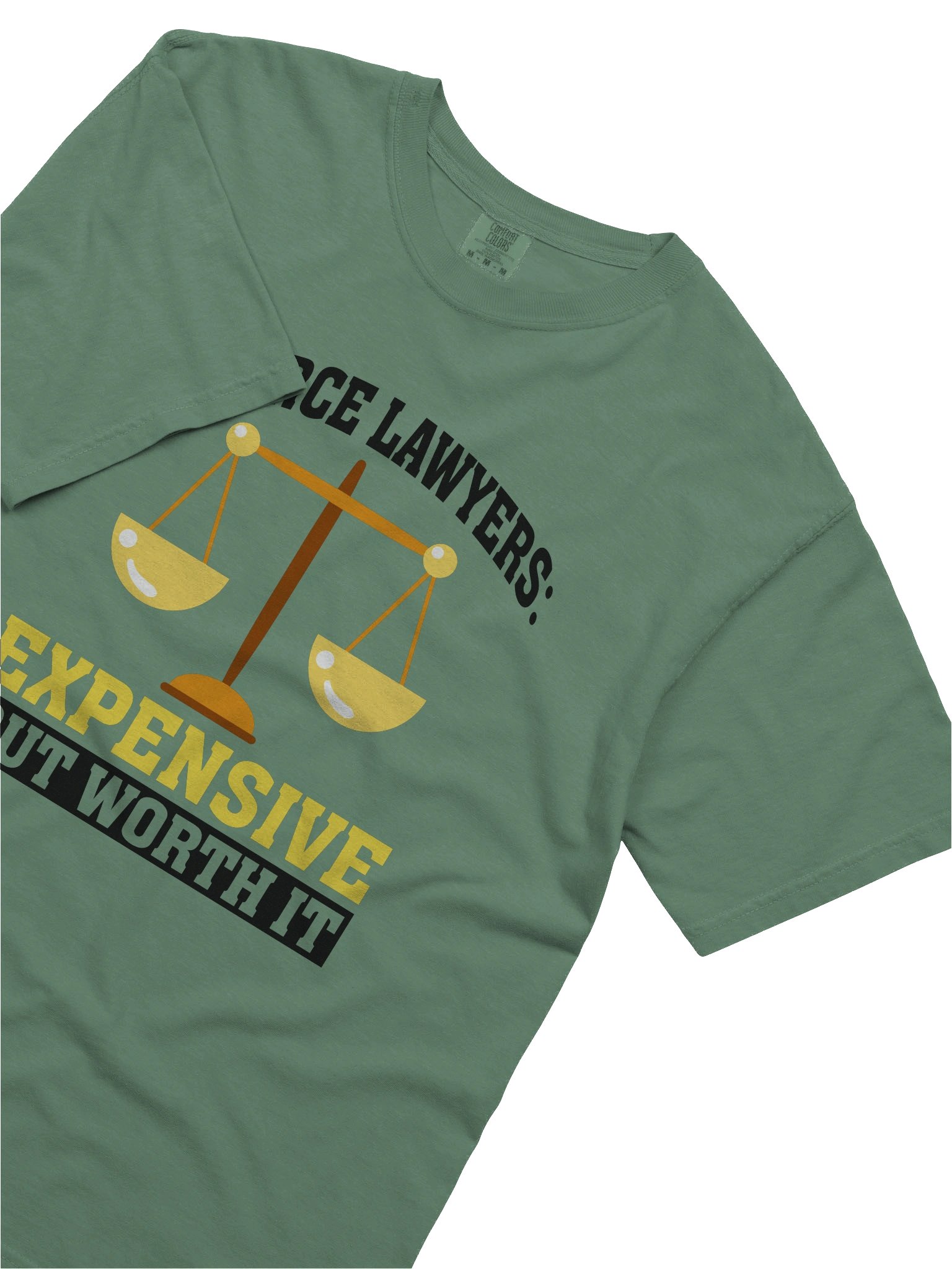 Expensive But Worth It Tee product image (3)