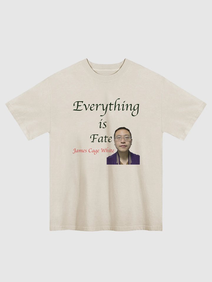 AS Colour Premium Oversized Faded T-Shirt: fate product image (3)
