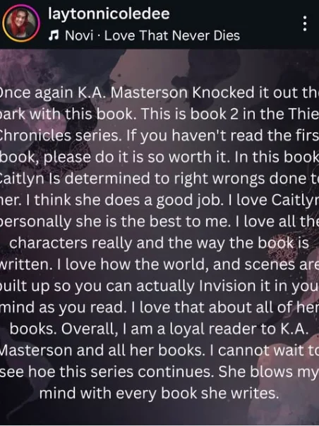 The Stolen Thief (The Thief Chronicles Book 2 product image (2)