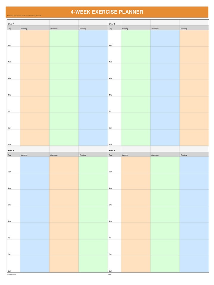 4 Week Exercise Planner product image (1)