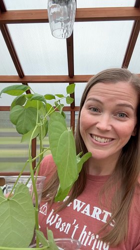 These plants will hopefully give me a #harvest in the next few weeks. Can’t wait to show my students the progress! #growyouro...