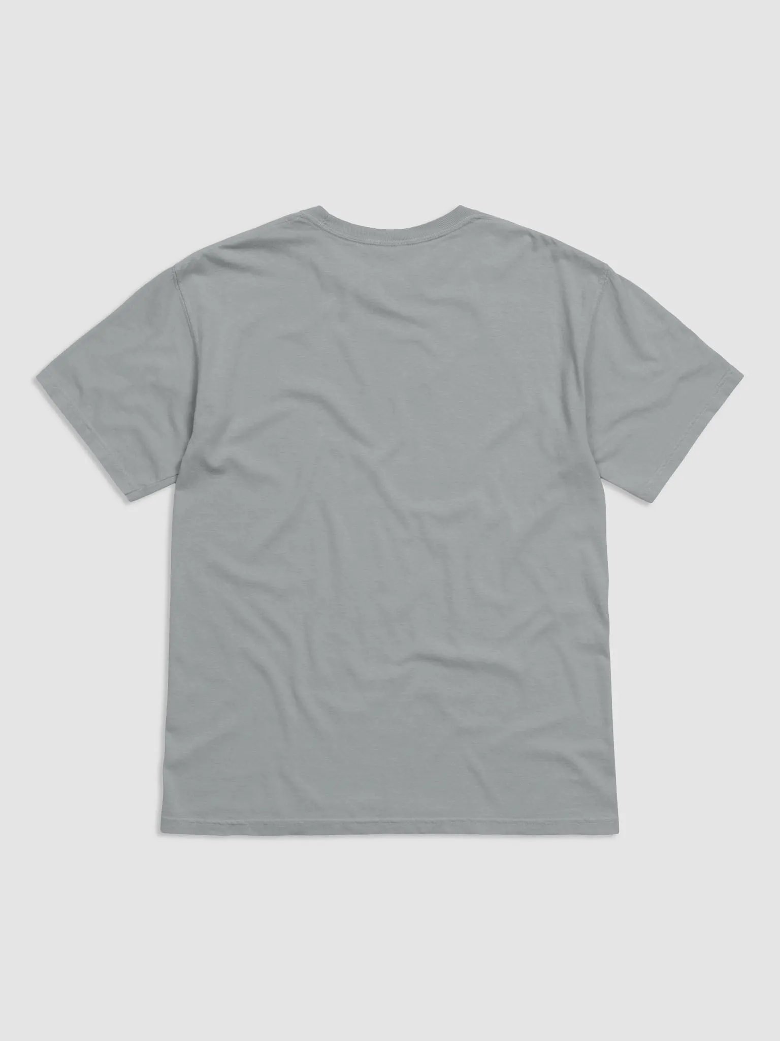 Constant Reader Garment-Dyed Heavyweight T-Shirt product image (6)