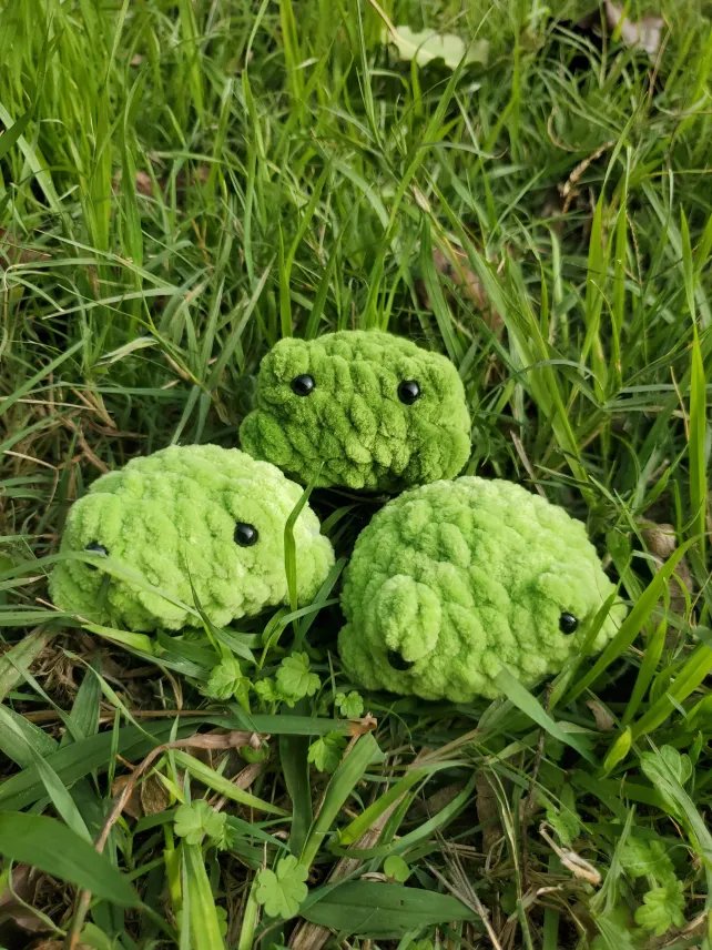 Pocket Frog product image (3)