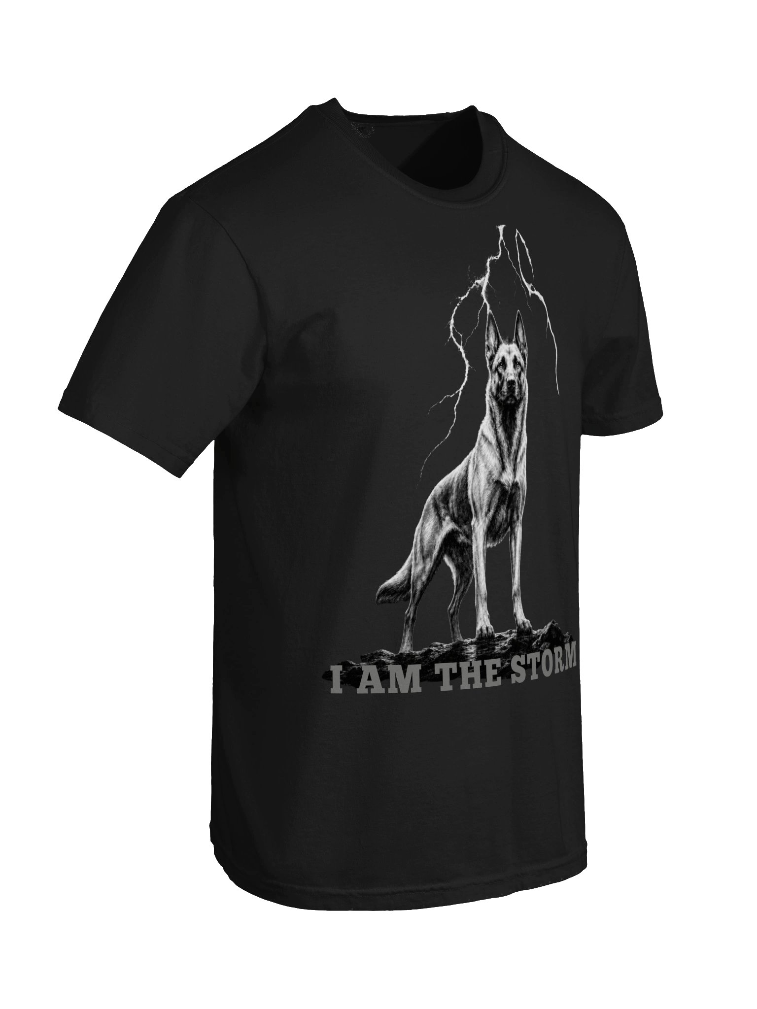 I AM THE STORM product image (18)