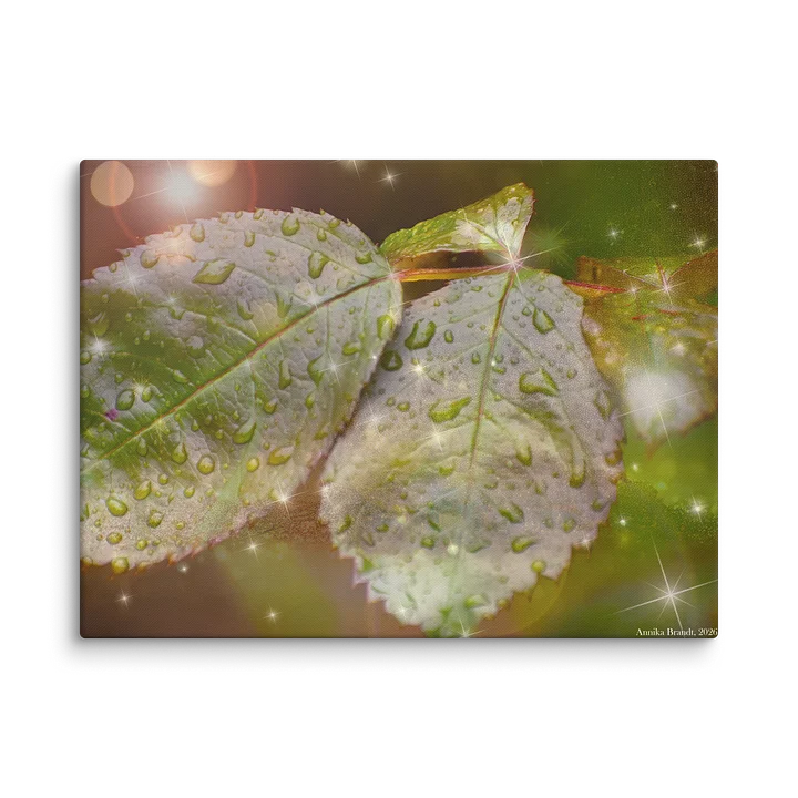 Canvas: Rose leaves during rainy day (DA) product image (5)