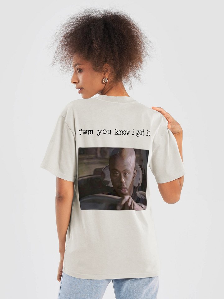 i bought 500 copies of gta 6 to resell. FWM product image (2)