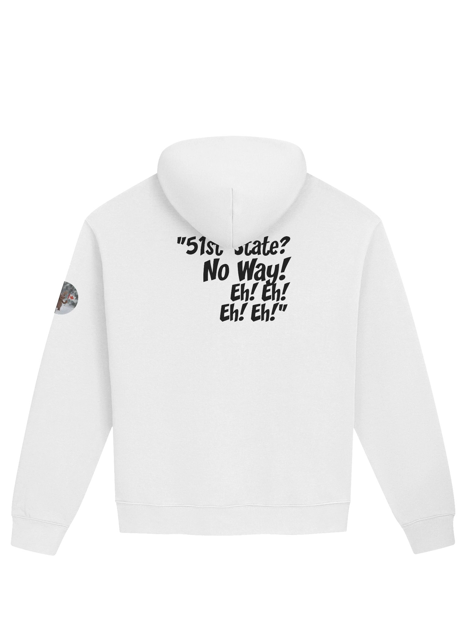 51st State? | Premium Oversized Character Hoodie product image (2)