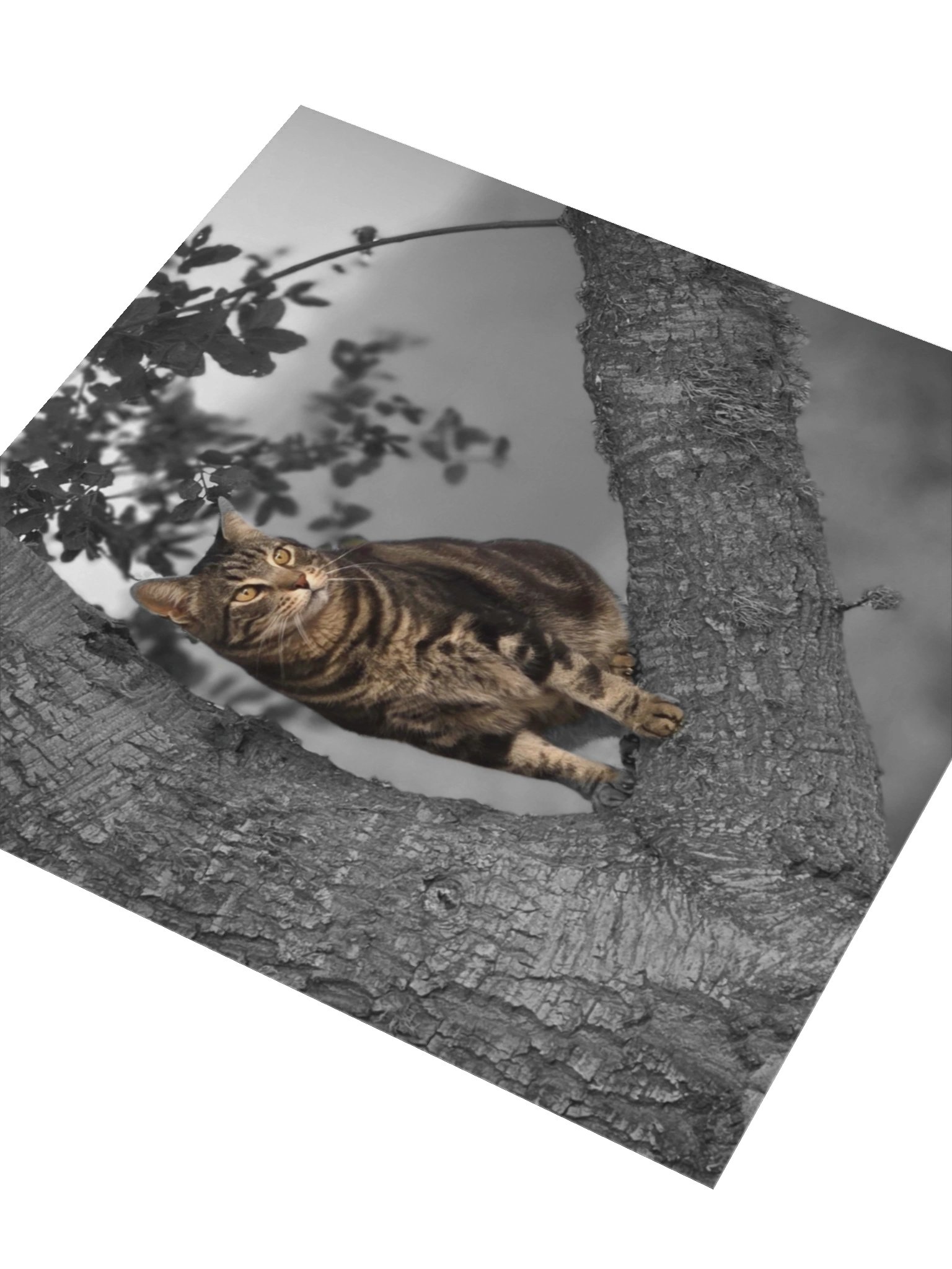 Whiskered Wanderlust Sticker product image (3)