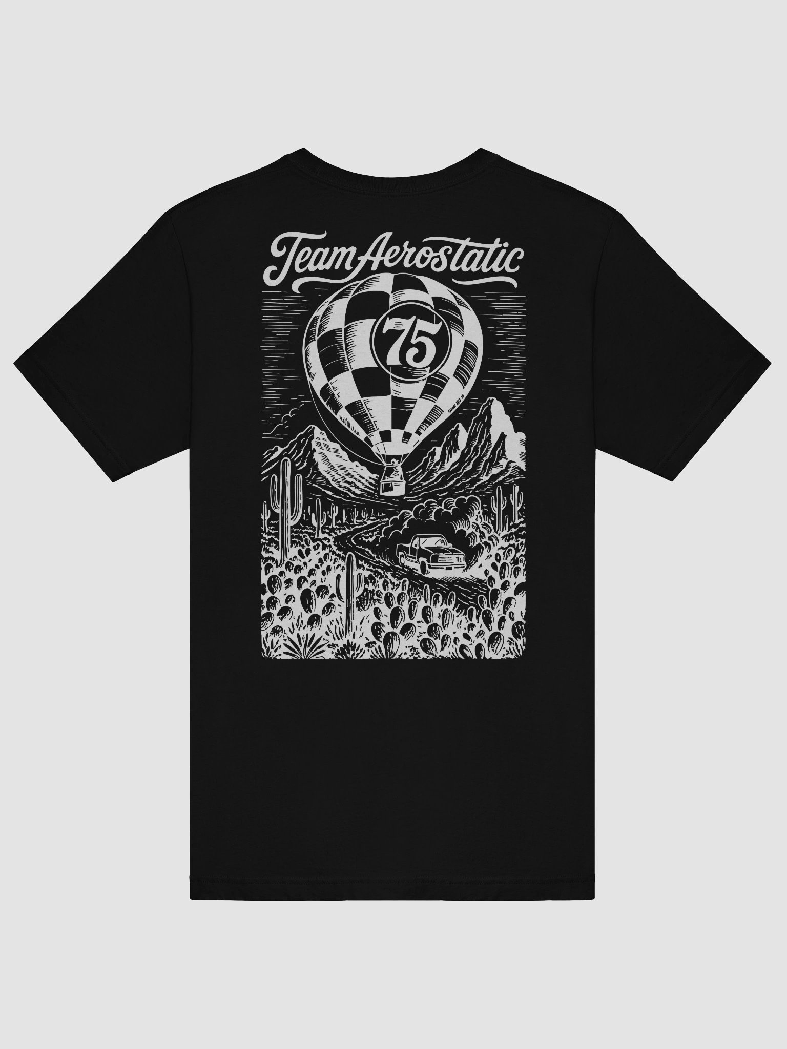 Team Aerostatic Tee product image (26)