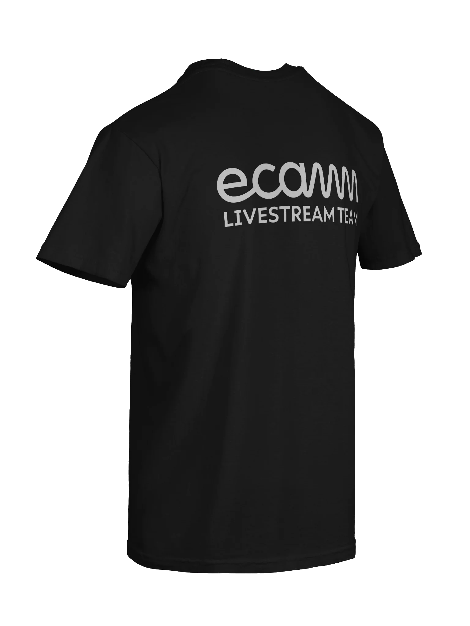 Ecamm Stream Team for Events (White Logo) product image (10)