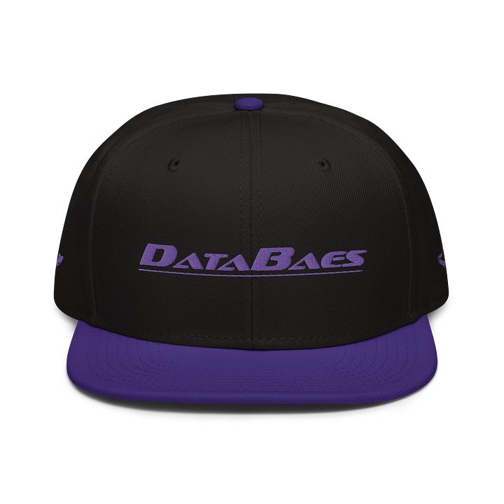 DataBaes Purple Thread Snapback product image (1)