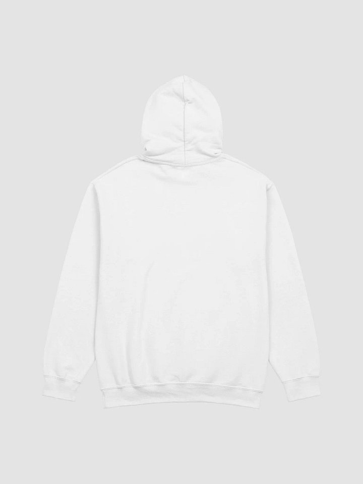 TG TF Entertainment Words Hoodie product image (2)