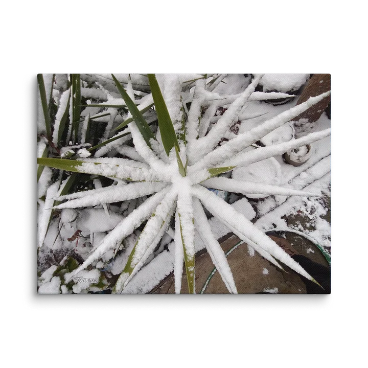The Frostforged Sentinel – Fine Art Canvas product image (2)