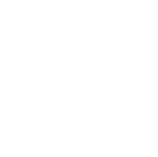 Action Path App