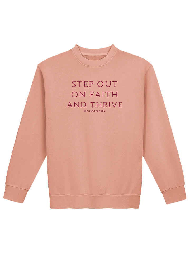s.o.o.f.a.t. pink embroidered sweatie product image (1)