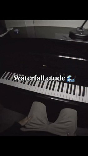 The most feared piano etude 😰 follow for more
