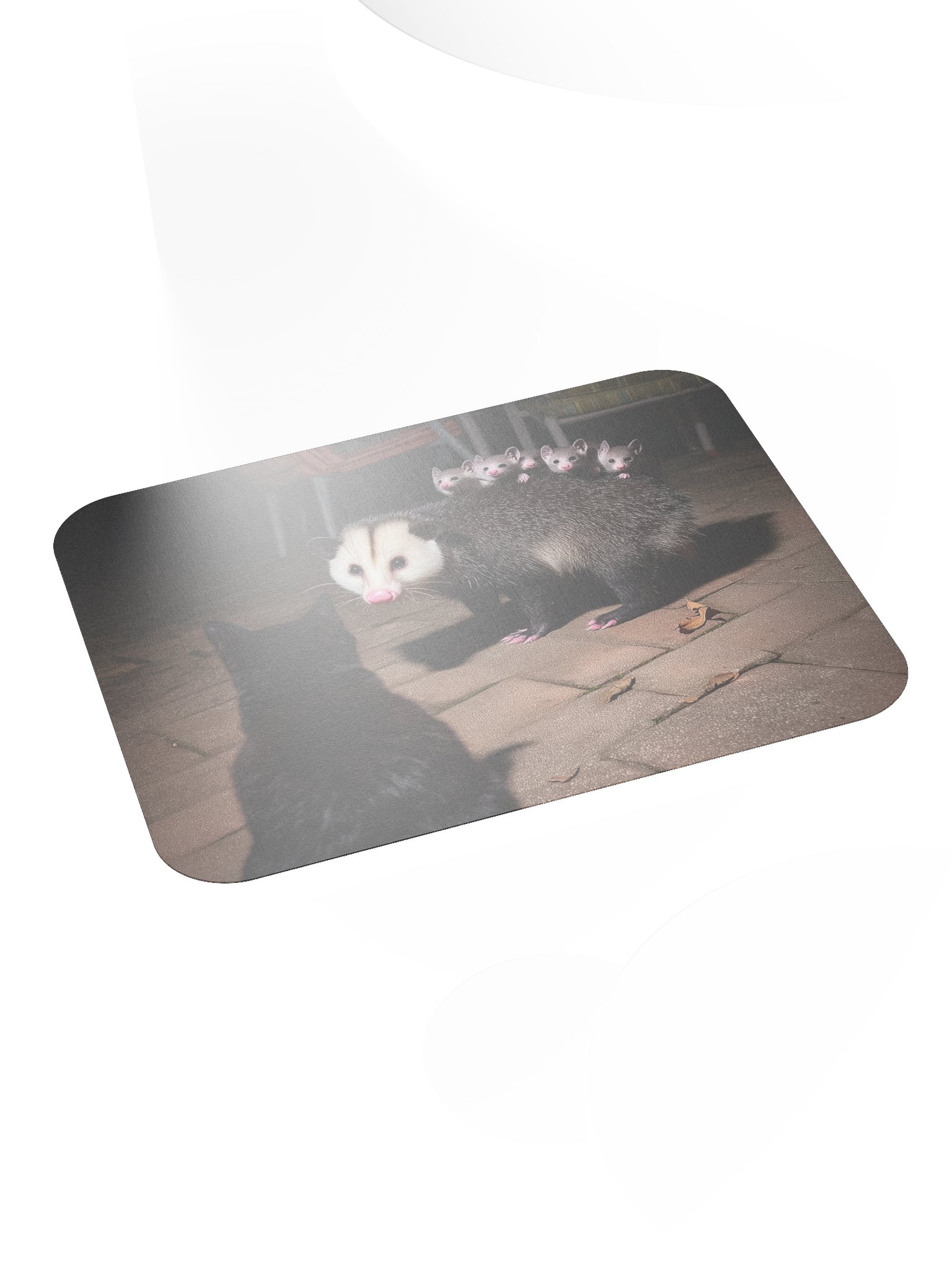 Cat meets opossum family Mouse Pad product image (4)