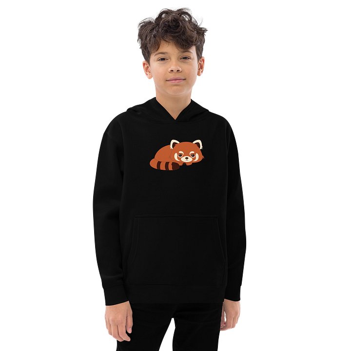 Woodland Animals Red Panda Youth Pullover product image (1)