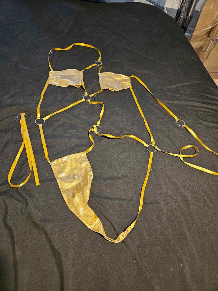 Used Cosplay - Elegg Swimsuit product image (1)