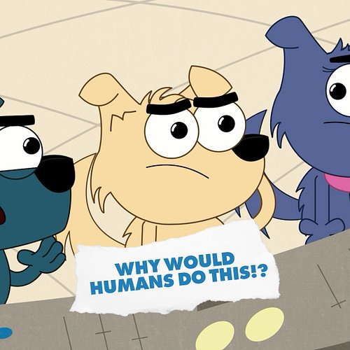 Our newest episode of Flynn Files deals with a fishy mystery! Why would a group of humans leave their livelihood to follow Je...