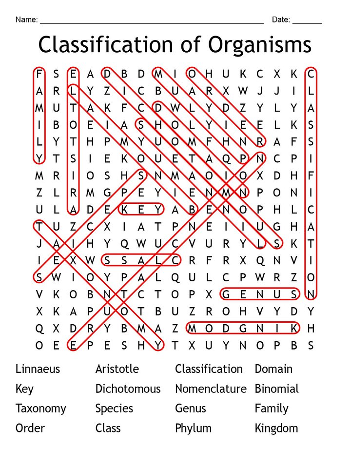 Printable Classification of Organisms Word Search – 16 Key Terms! product image (2)