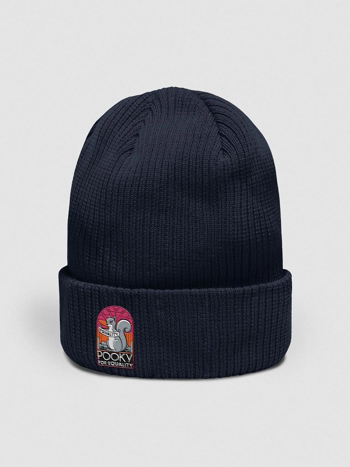Organic Cotton Embroidered Beanie: Pooky for Equality product image (2)