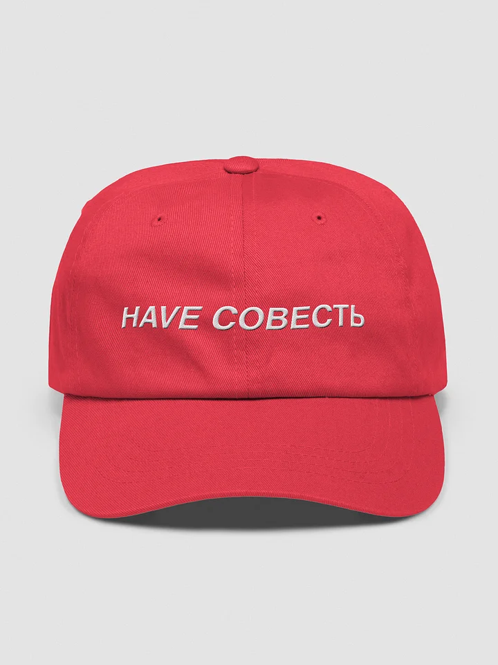 HAVE СОВЕСТЬ HAT product image (1)