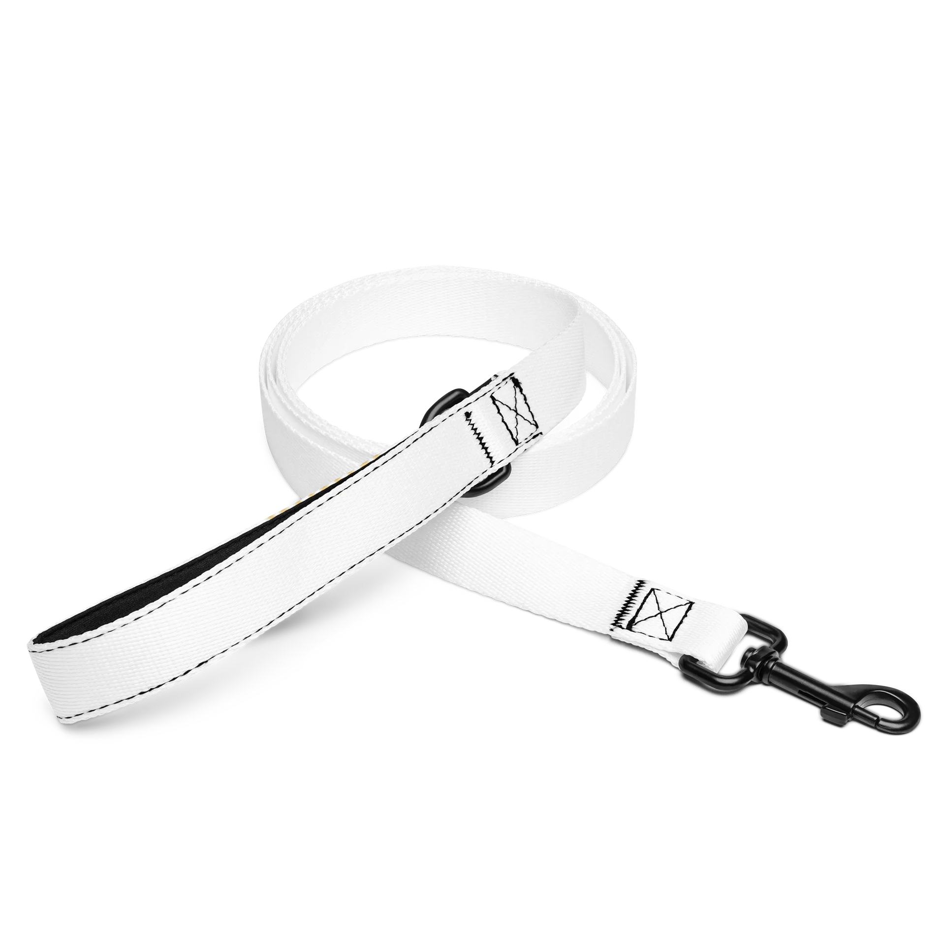 intuitive Pet Leash product image (1)