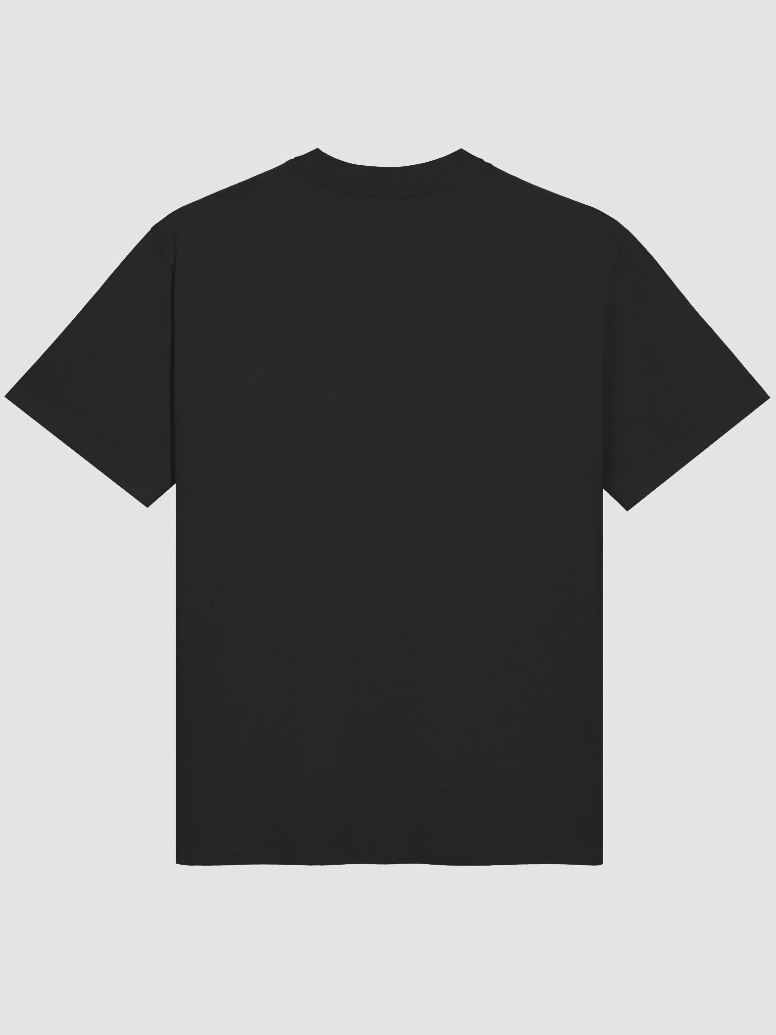 Oversized Swan Tee product image (4)