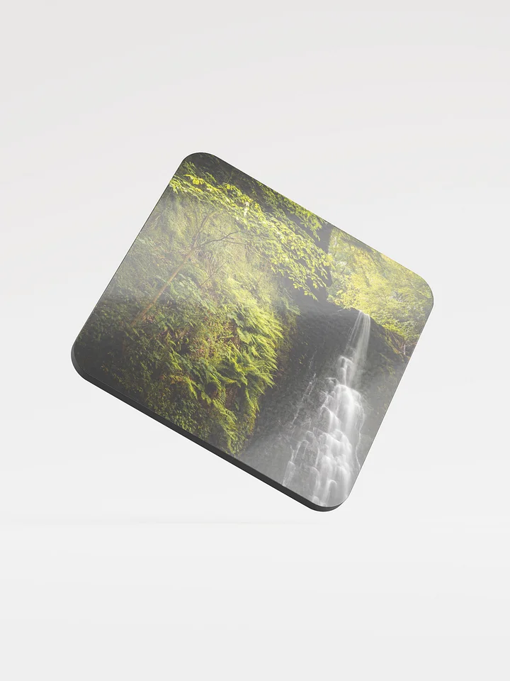 Falling Foss Sappling product image (1)