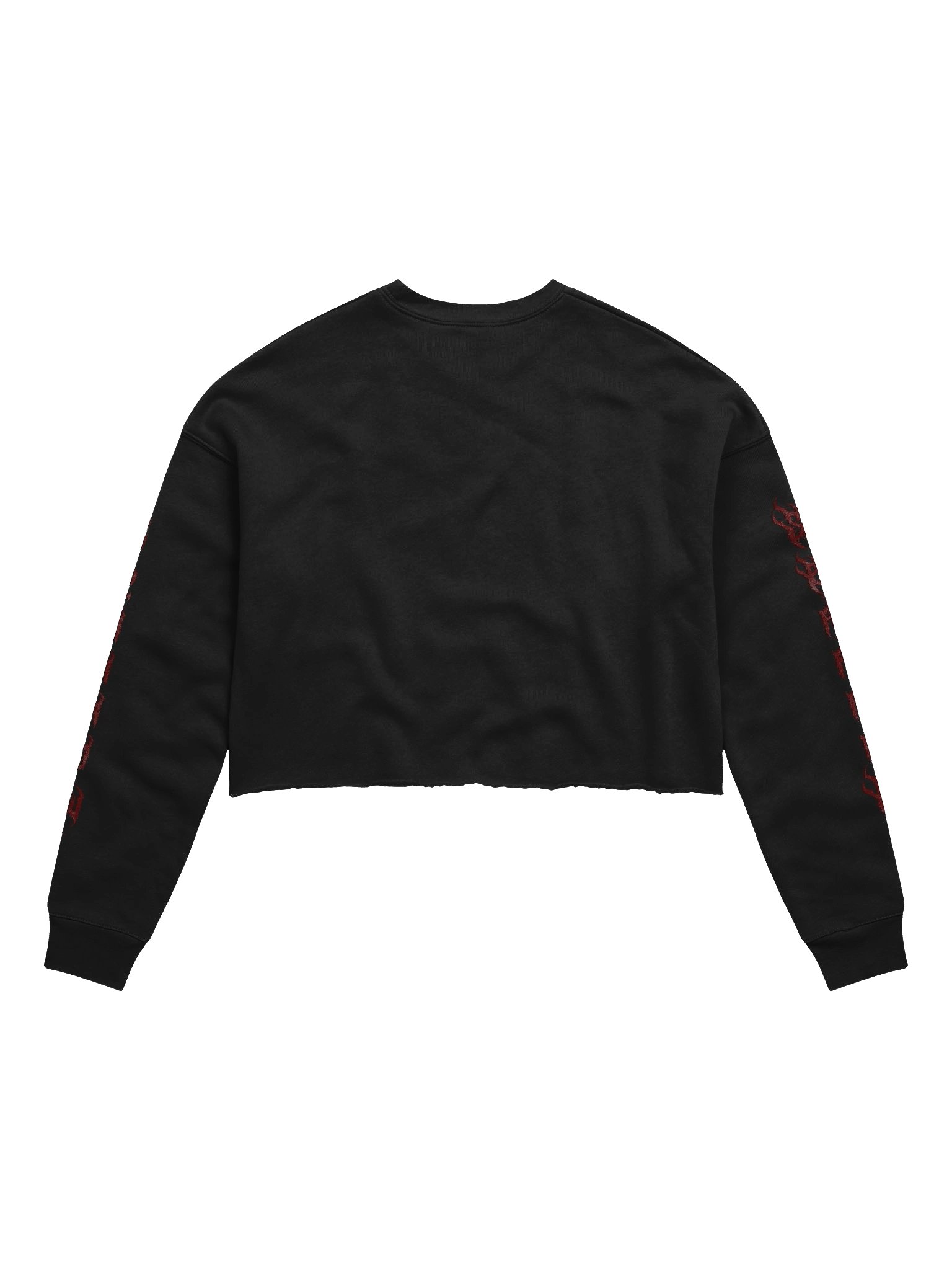 Sparrow Long Sleeve Crop Top product image (2)