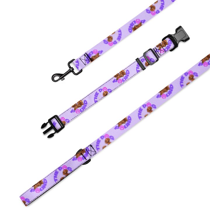 Dog Pound Collar and Leash Set product image (2)