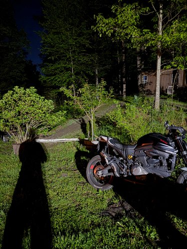 warm nights in the forest #ducati #ducatimonster #bikelife #motorcycles #nighttime