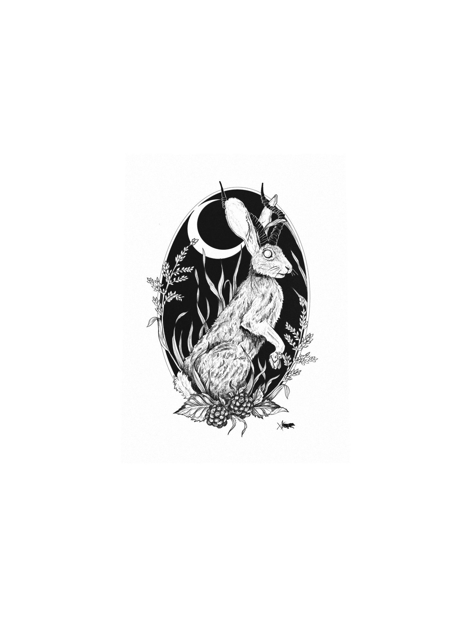 Jackalope Print product image (7)