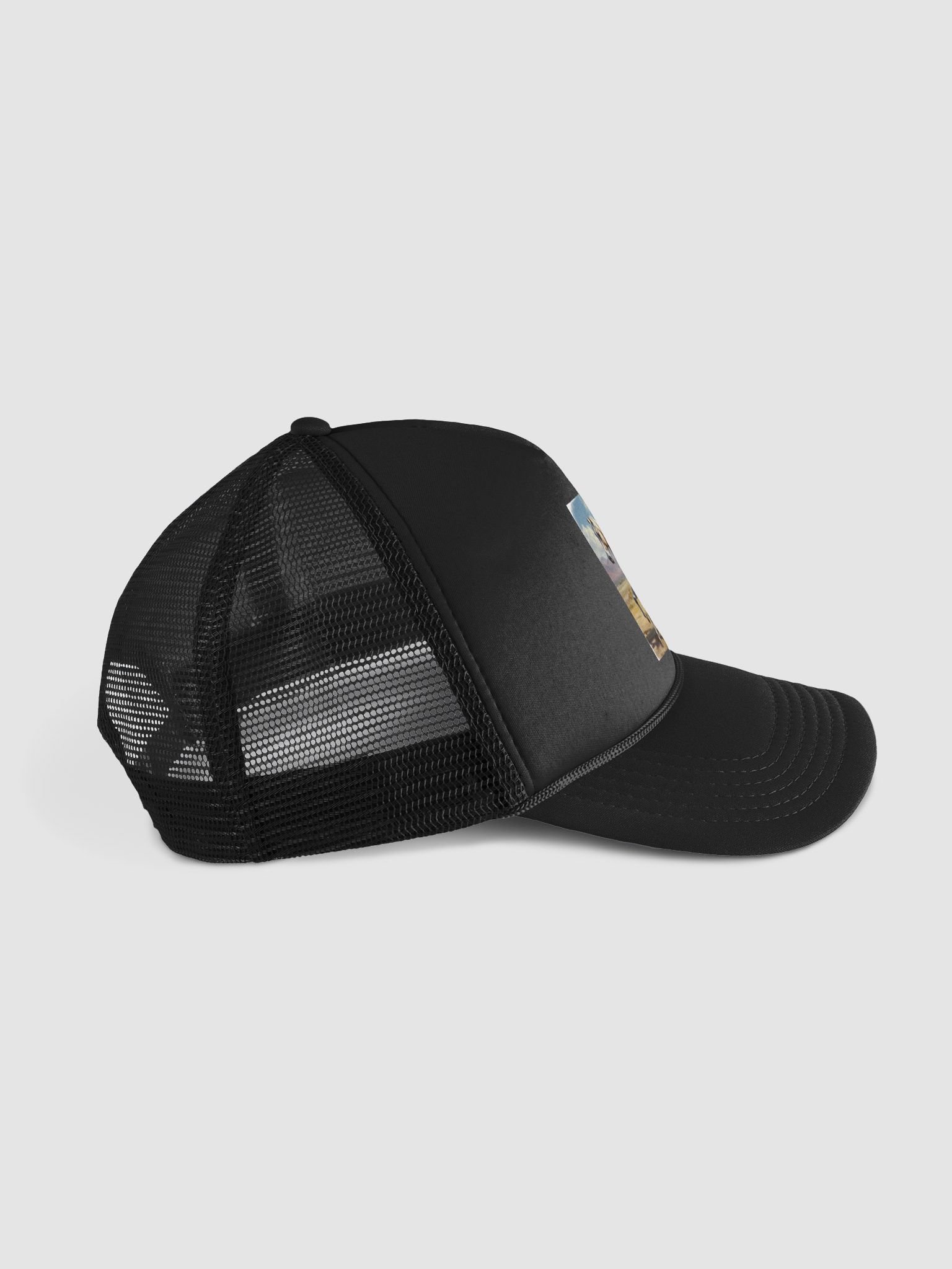 Horse product image (5)