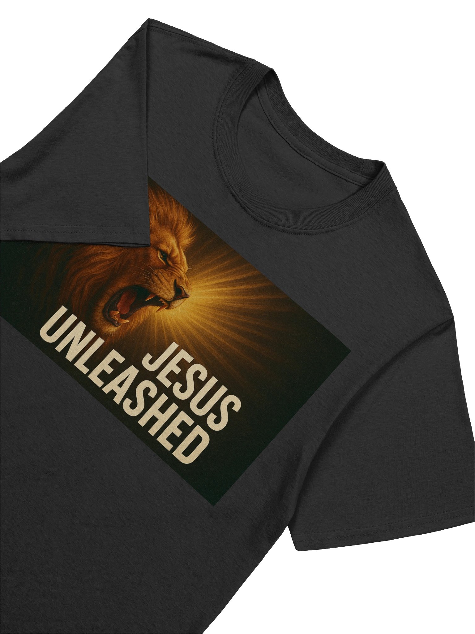 jesus unleashed product image (7)