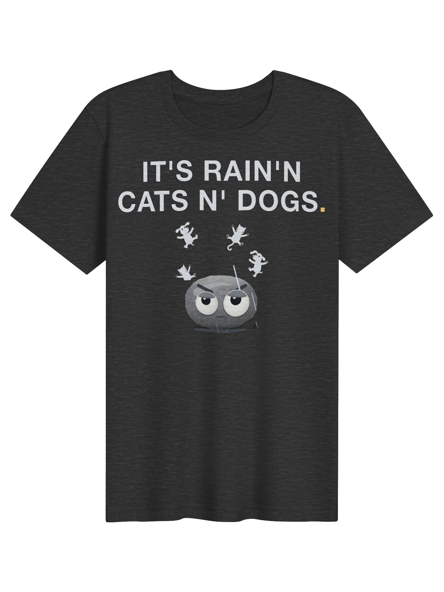 It's Rain'n Cats N' Dogs! T-Shirt product image (1)