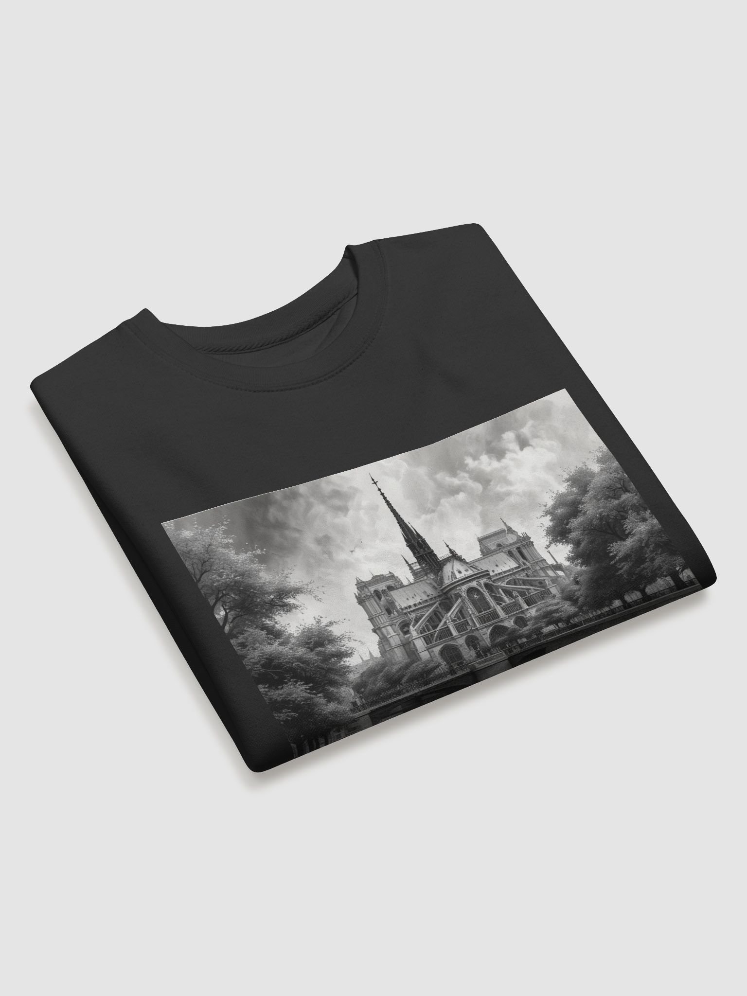notre dame de paris product image (26)