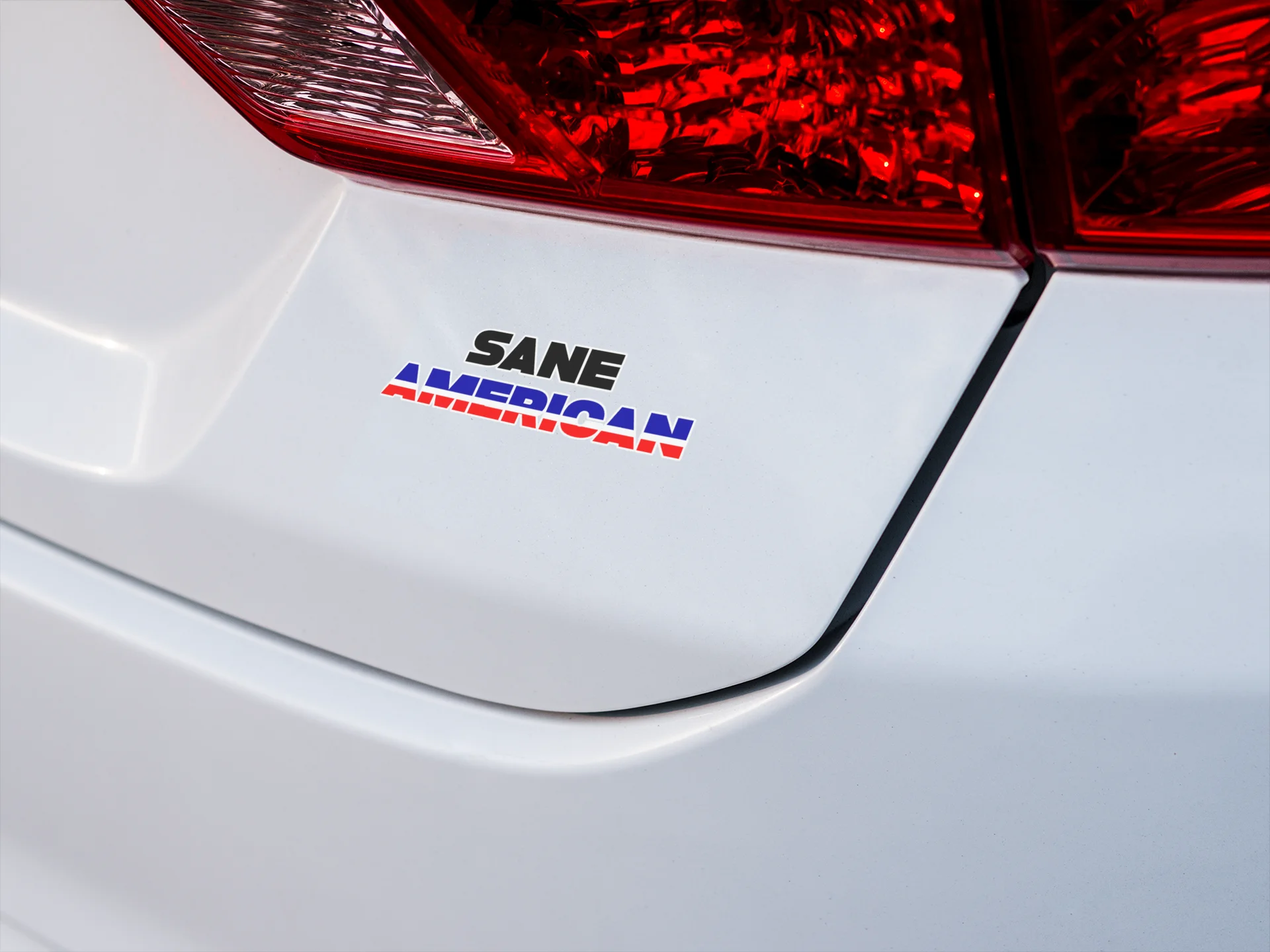 Sane American Sticker - Funny Progressive Vinyl Decal product image (2)