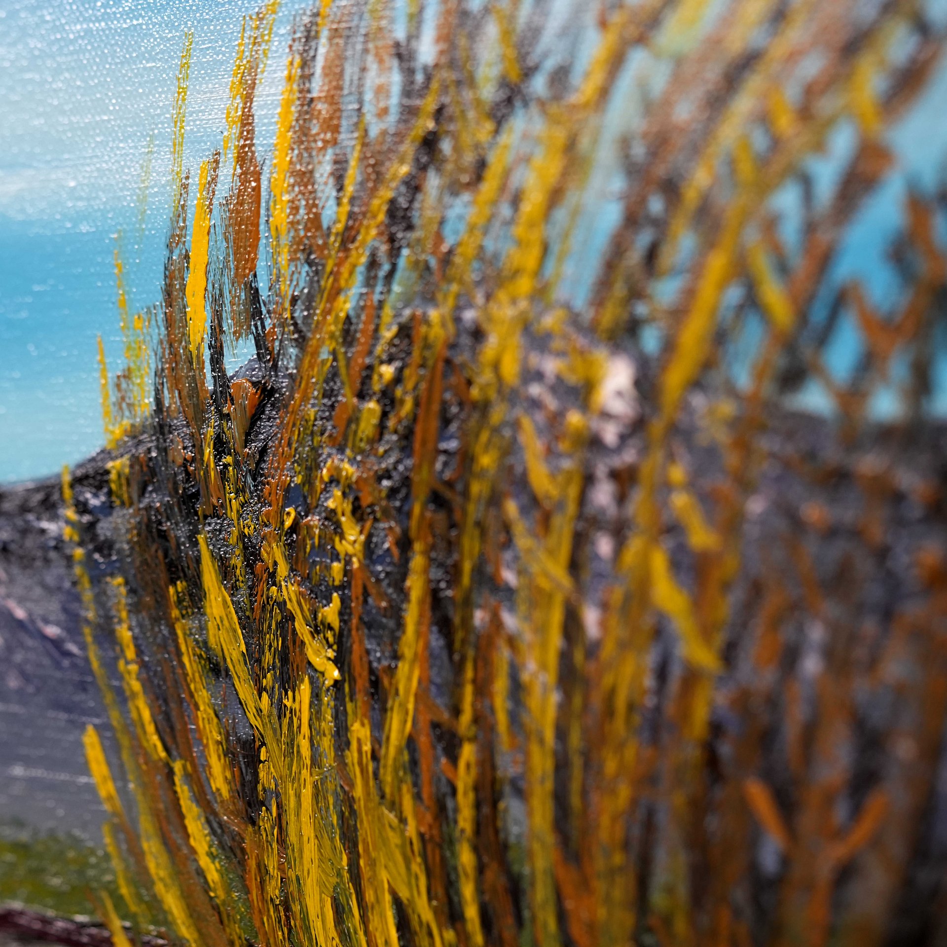 The Tumbleweeds View (Original) 24x48 Canvas product image (4)
