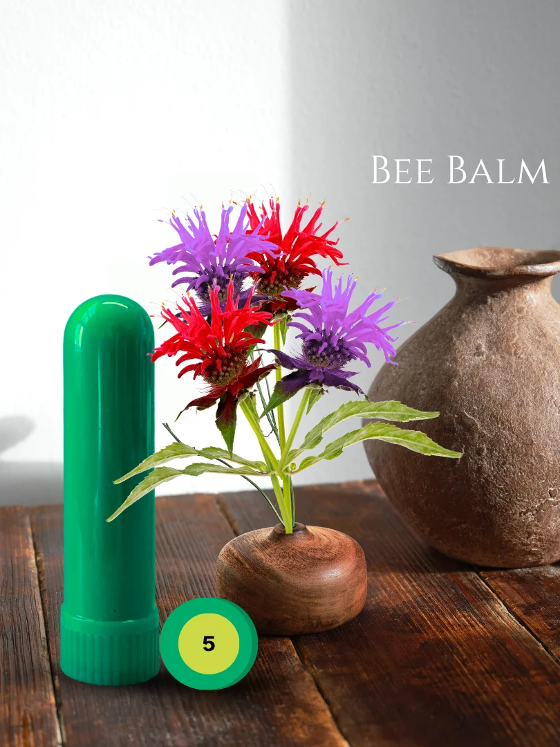 Olfaria Mint Odor Training Kit | 5 Single-Note Essential Oils | Scent Education | Train Your Nose product image (6)