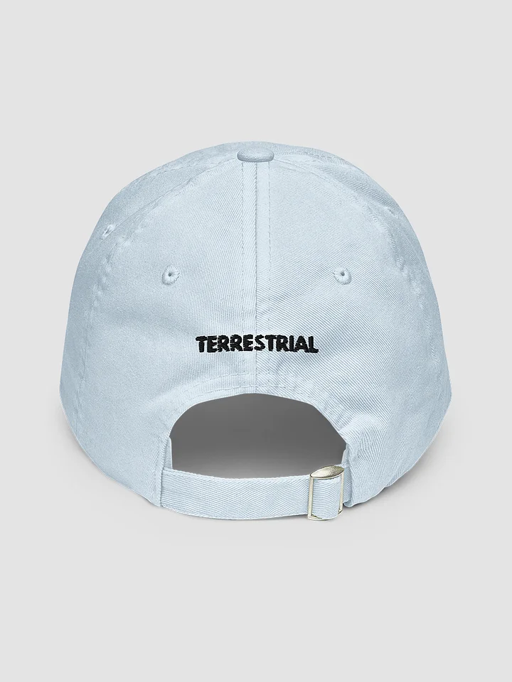 LIMITED EDITION - Grow Positivity Pastel Hat product image (2)