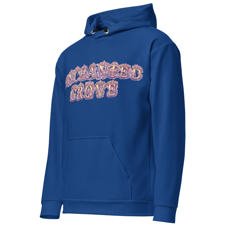 Kingdoms Treasurer 2 Recycled Hoodie product image (2)
