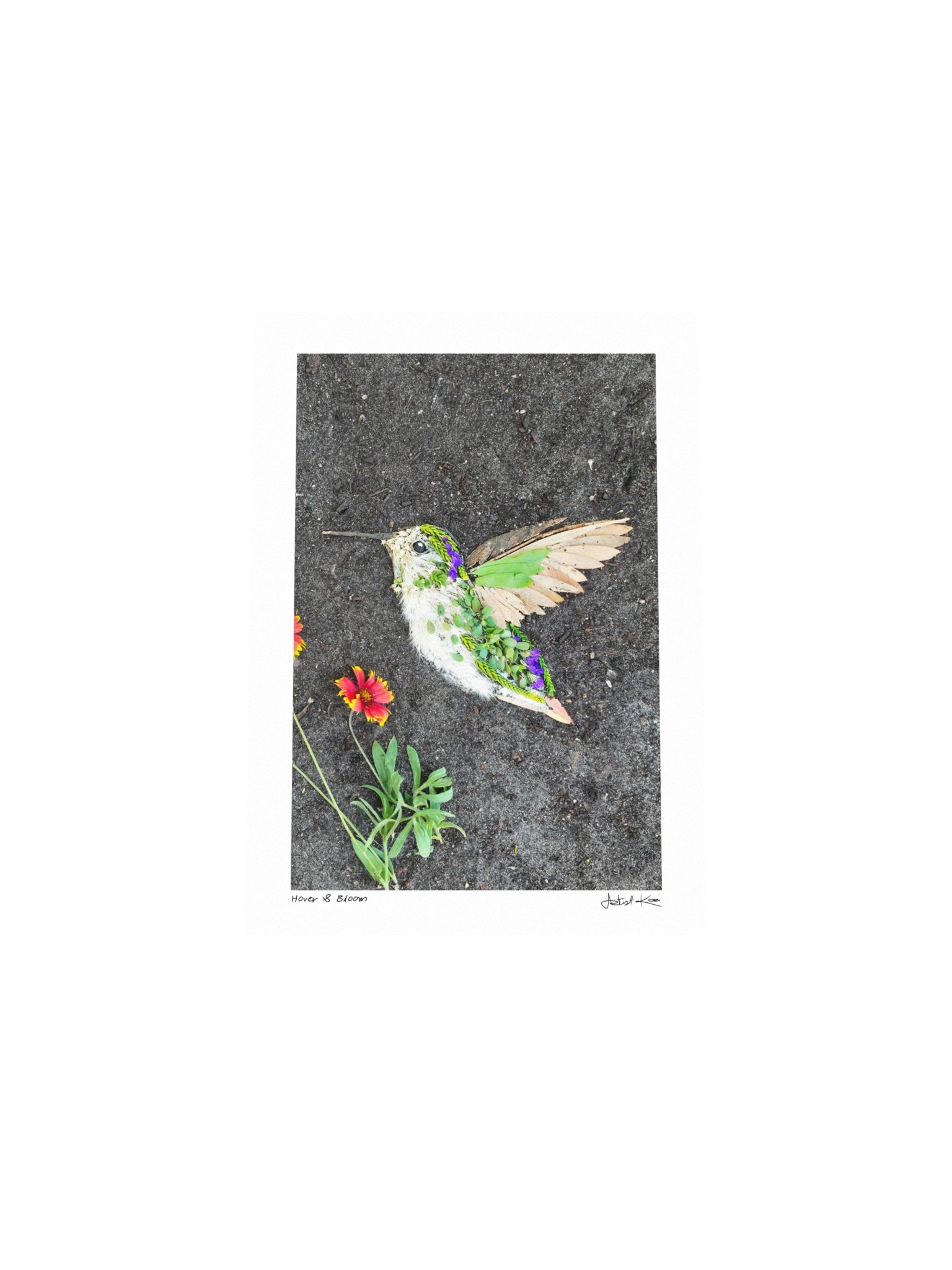 HOVER & BLOOM | Mini Print product image (4)