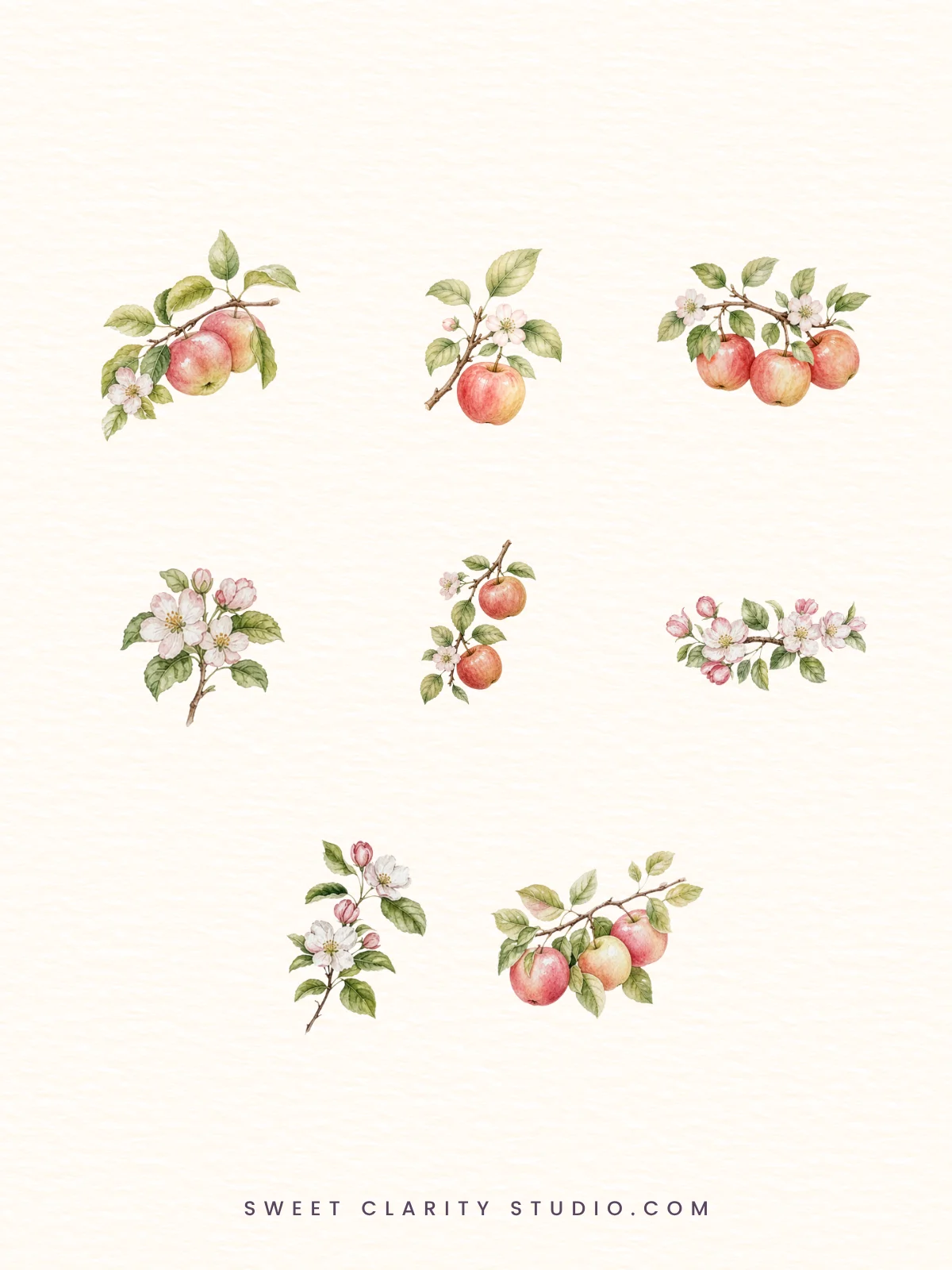 Apple Blossom Orchard Watercolor Botanical Clipart Pack product image (4)